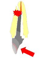 �y��̑����C���[�W